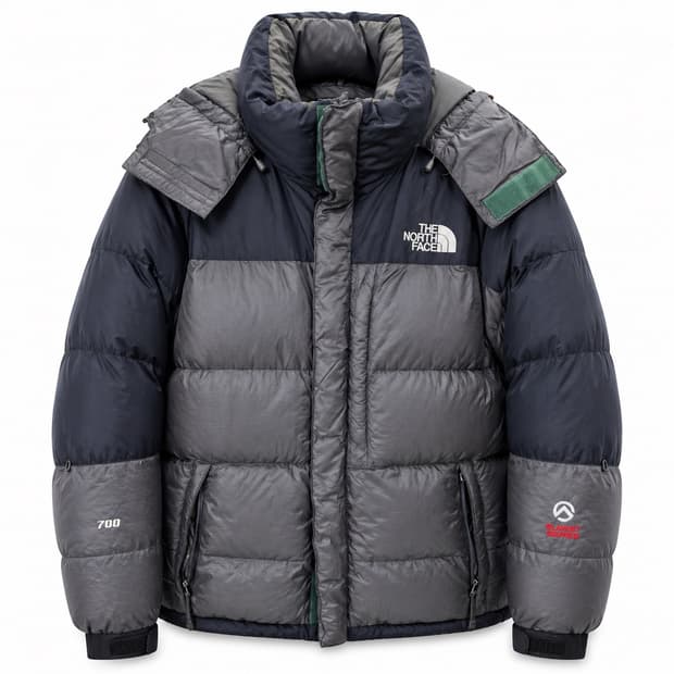 노스페이스 써밋 시리즈 700 필파워 윈드스토퍼 다운 자켓 L
