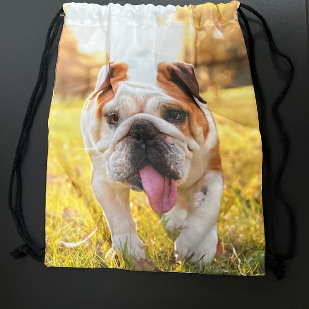 테무 강아지 스트링백