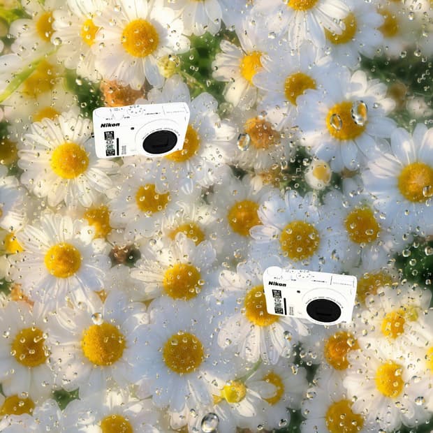 희귀!!) Nikon Coolpix P310