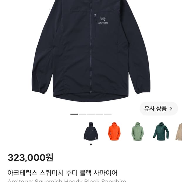 아크테릭스 스쿼미시 후디 블랙 사파이어
