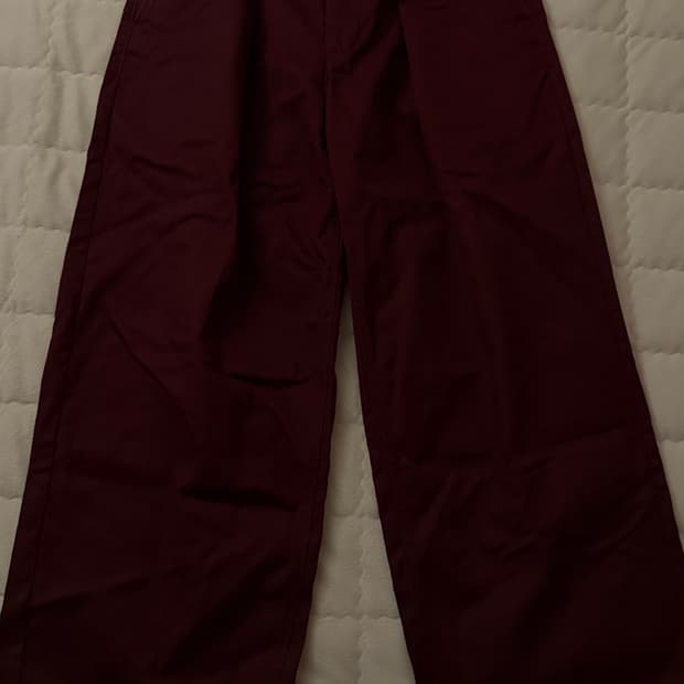 SABY × Dickies Tuck Baggy pant