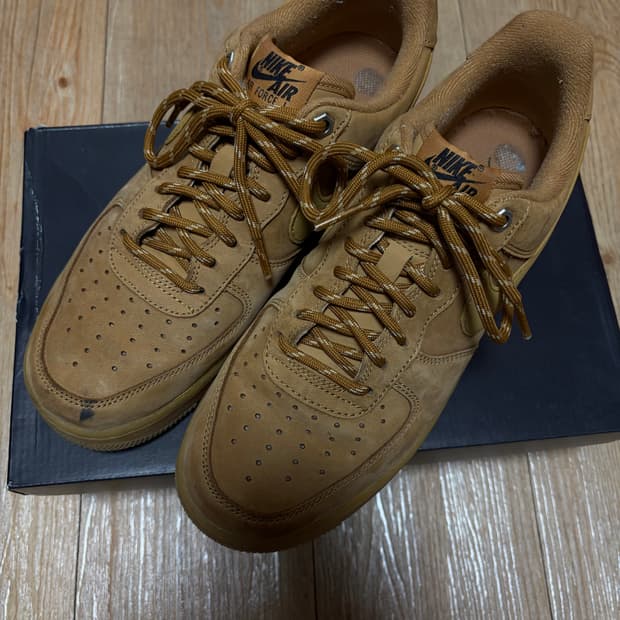 나이키 된장포스 255