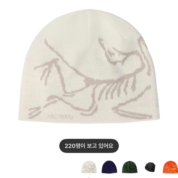 아크테릭스 비니 룬 새상품