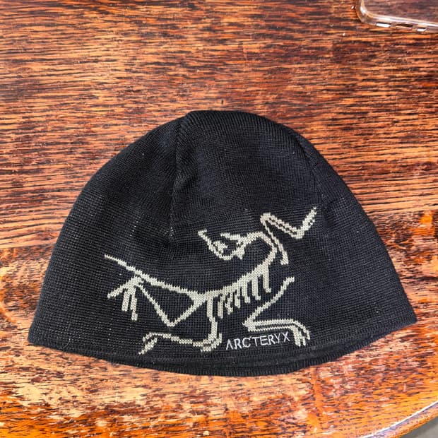 아크테릭스 비니