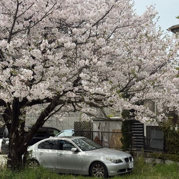 전 제품 최대 50% 할인중💥💥