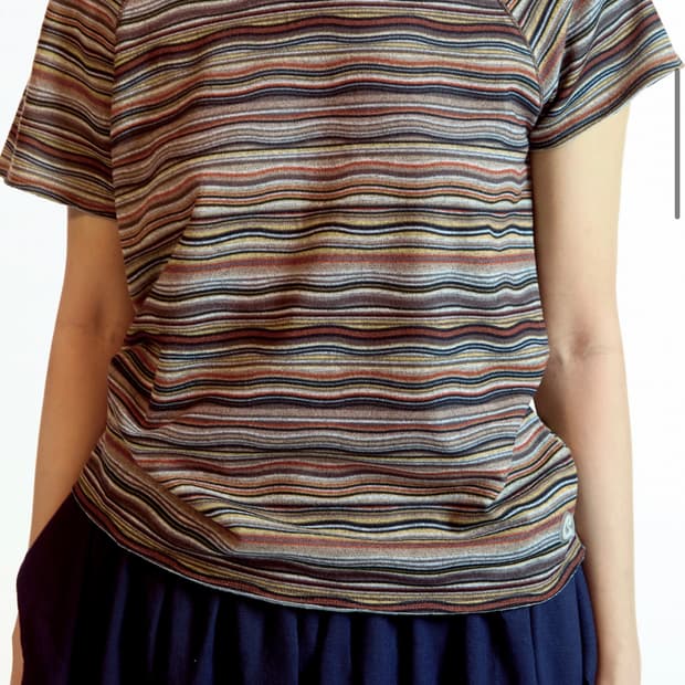 Coyseio stripe knit t-shirt brown