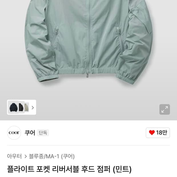 쿠어 플라이트 포켓 리버서블 후드 점퍼 민트 XL사이즈 판매