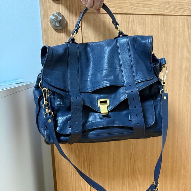 프로엔자슐러 Proenza Schouler 판쵸 판초백 사첼백 샤첼 토트