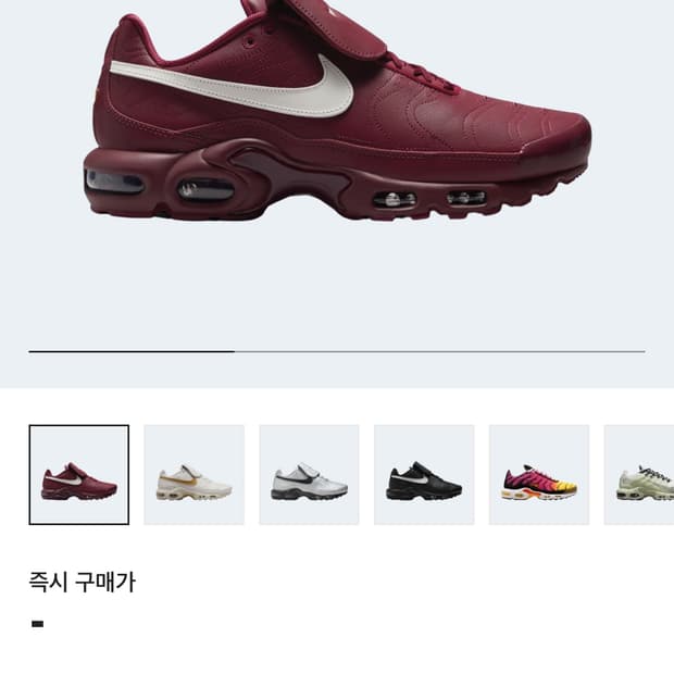 나이키 에어맥스 TNPO 250