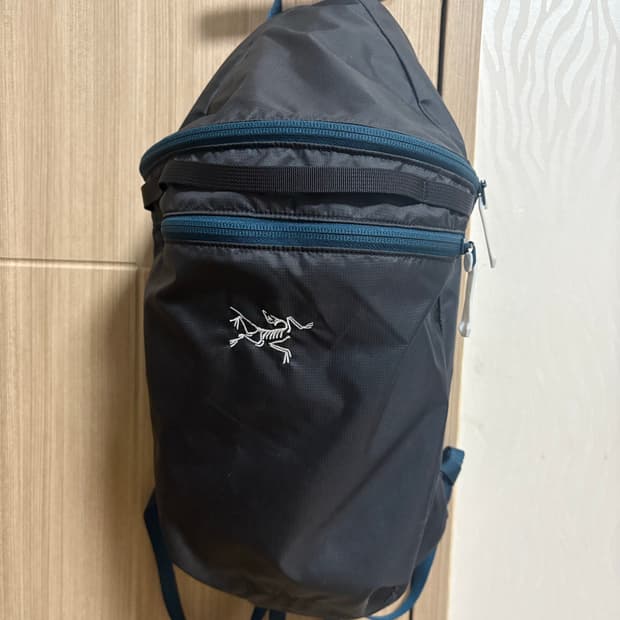 아크테릭스 헬리아드 로데스타