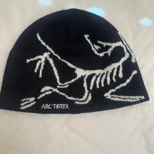 아크테릭스 비니