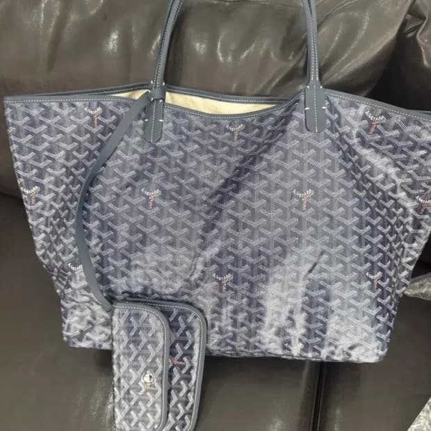 고야드 생루이백 새상품 GM