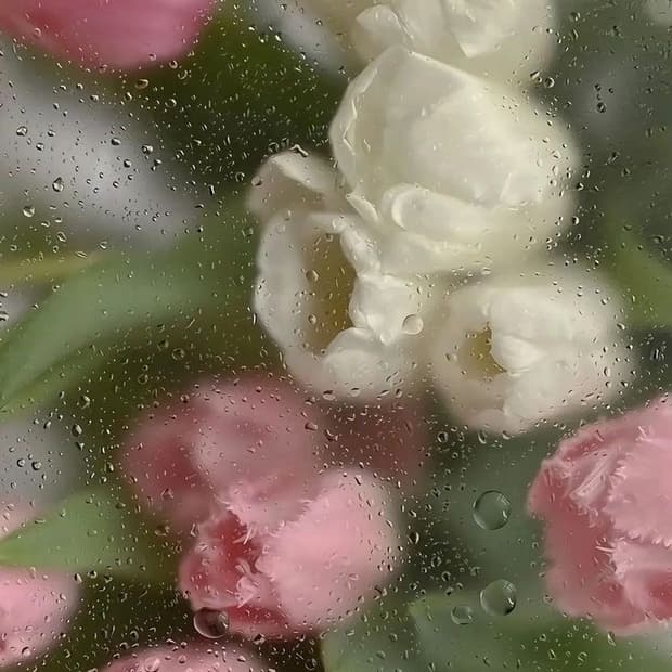 구매 결제창입니다:)