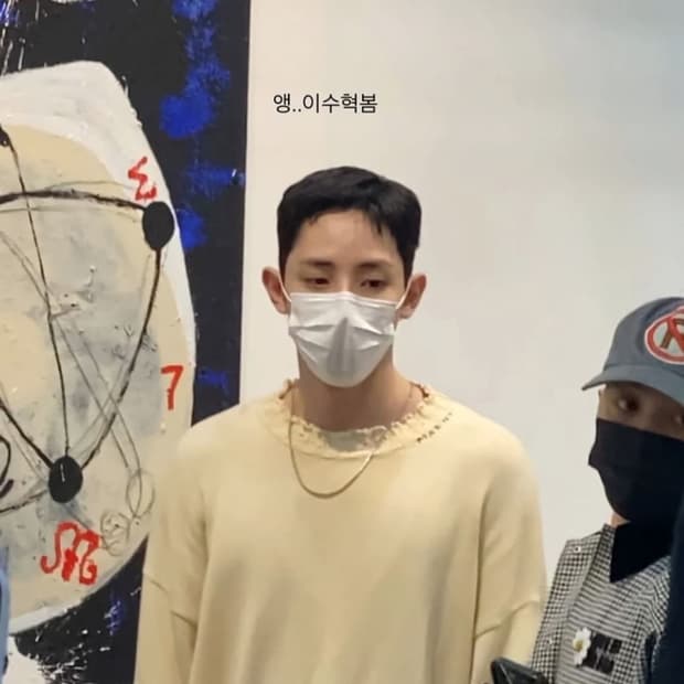 마르니 크롭핏 디스트로이드 니트