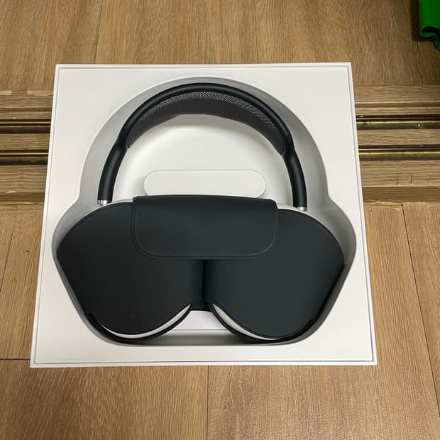 애플 에어팟 맥스 스페이스 그레이