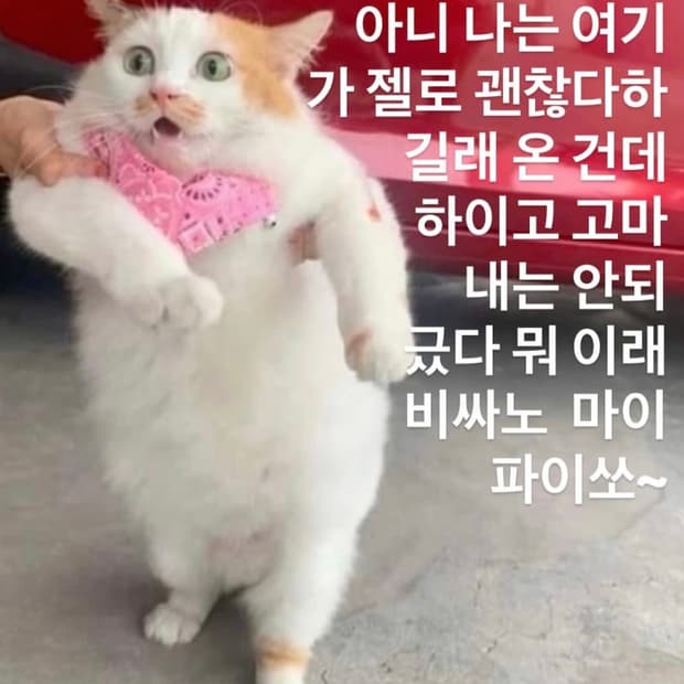 💥💥전품목 20%SALE💥💥