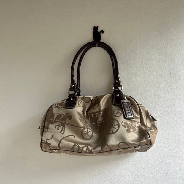 Coach bag