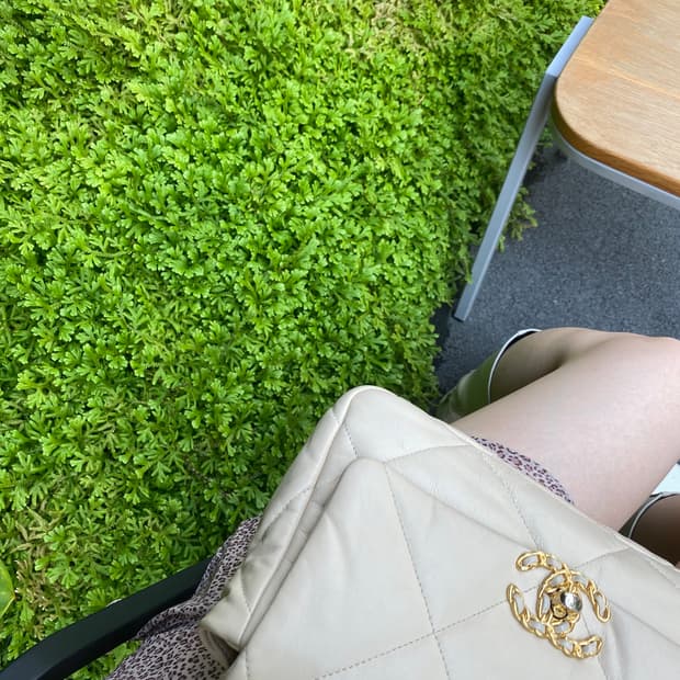 샤넬 19백 아이보리 (결제창)