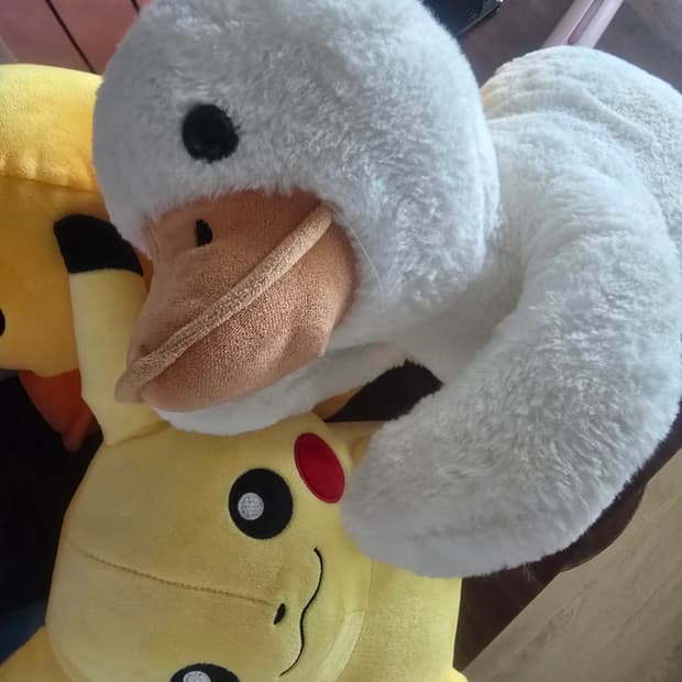 인형/캐릭터 봉제인형 모음 (피카츄, 도라에몽, 오리 등등)