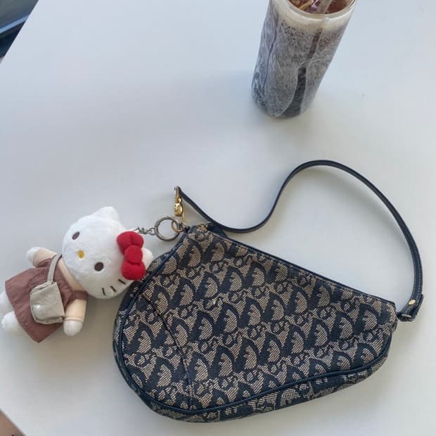 정품 디올 오블리크 새들파우치백