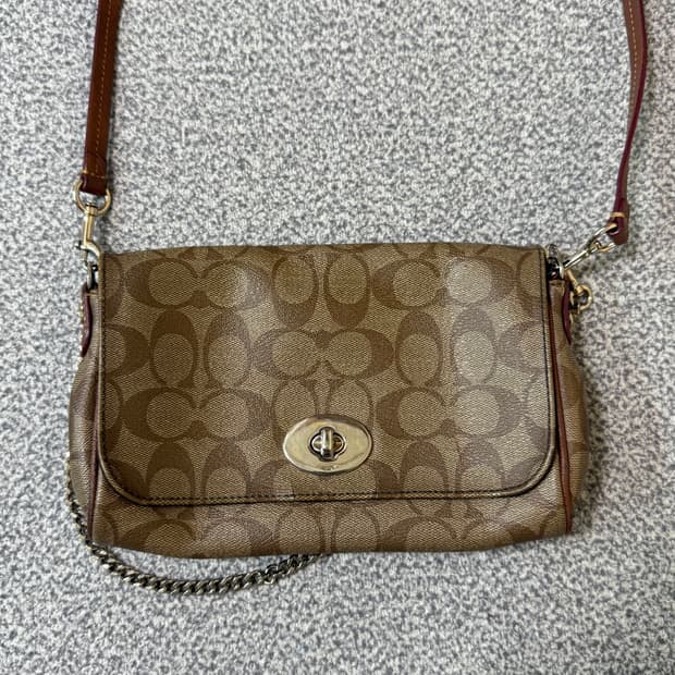 Coach 코치 시그니처 토트백