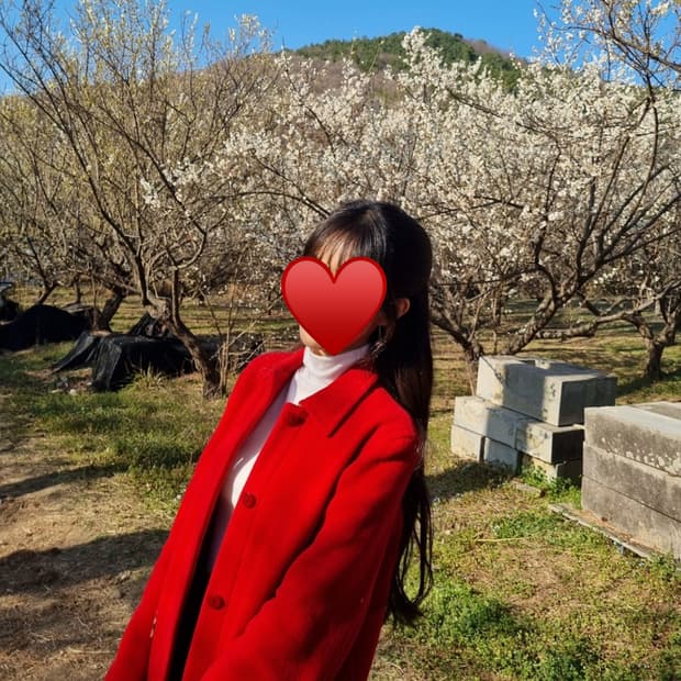 버버리 Burberry Blue label 38 레드 반코트 하프코트