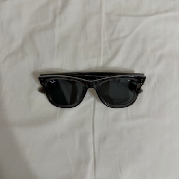 RayBan 웨이페어러 리버스