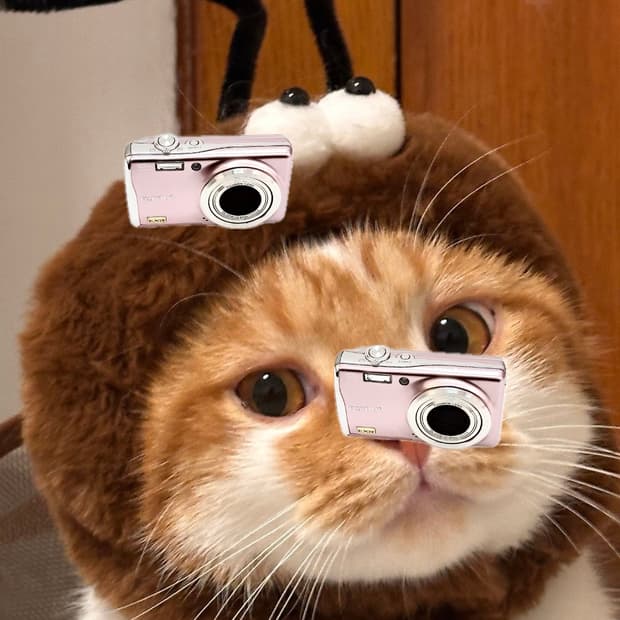 딸기우유&원희!) FujiFilm Finepix F80 디카 카메라