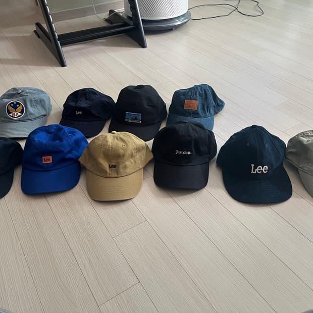 다수 모자 팝니디