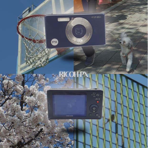 작례⭕️ 리코 PX