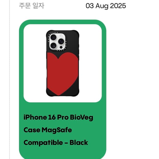 케이스티파이 가죽 케이스 16프로