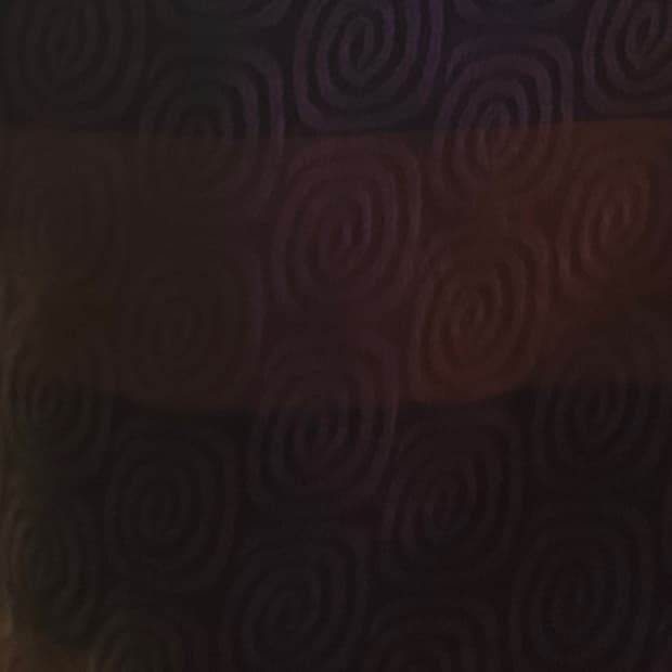 스투시 폴로 셔츠