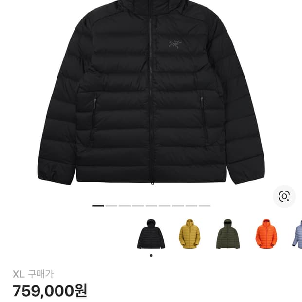 아크테릭스 토륨 후디