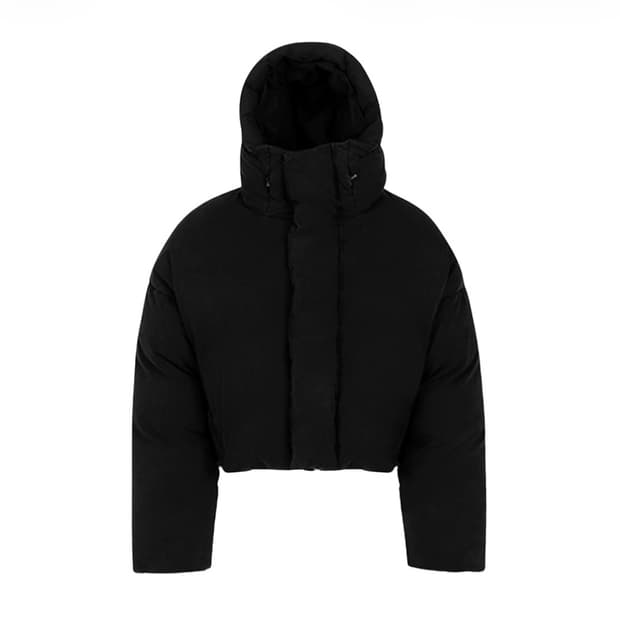 엔타이어 스튜디오 푸퍼