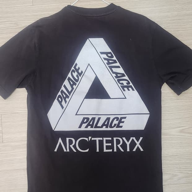 팔라스 아크테릭스  M