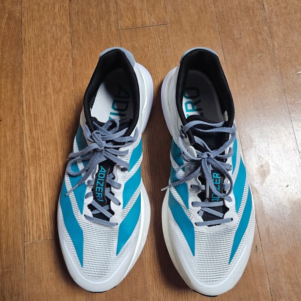 아디제로 보스턴13  260ㅇ