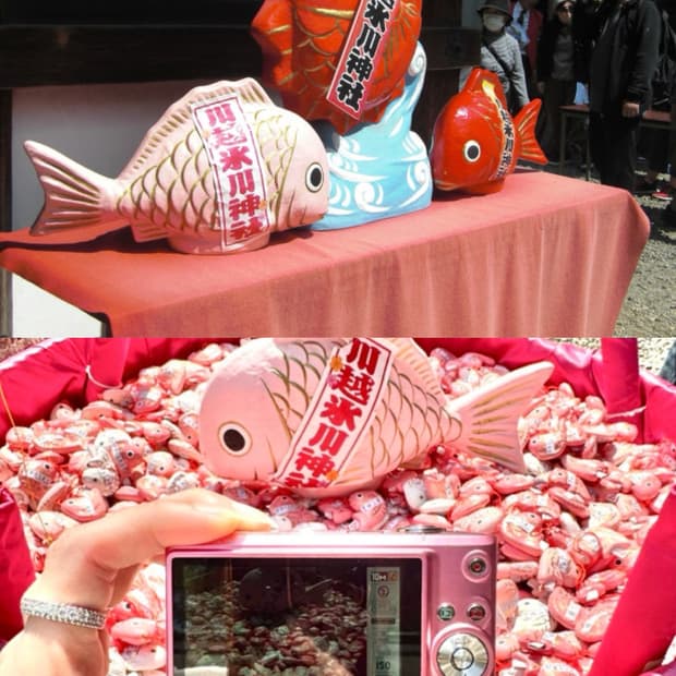 작례있음🌸💖카시오 엑슬림 Z100 casio exilim