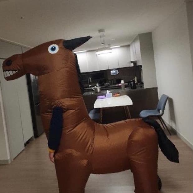 에어슈트 말 코스튬