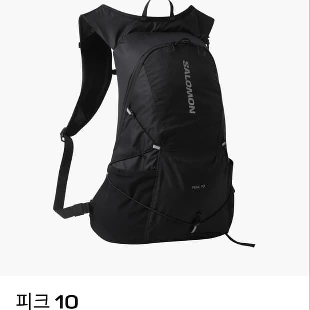 살로몬 피크 10