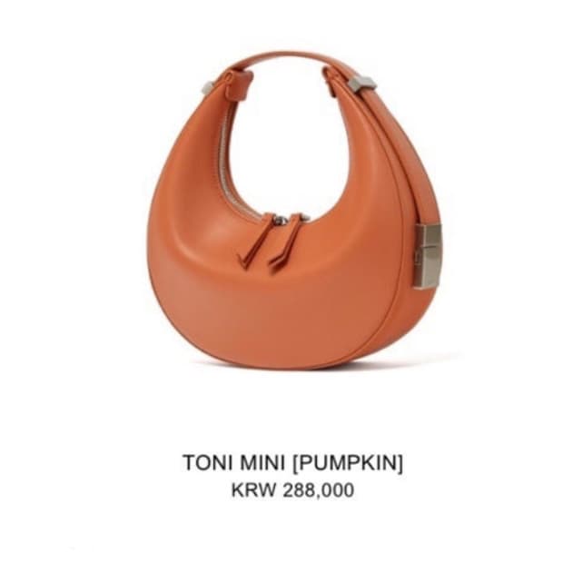 오소이 토니미니백 펌킨