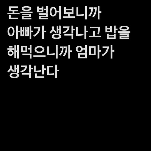 태호서울 예의 팬츠