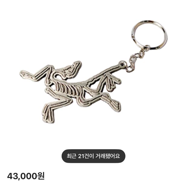 (새상품) 아크테릭스 키링 메탈