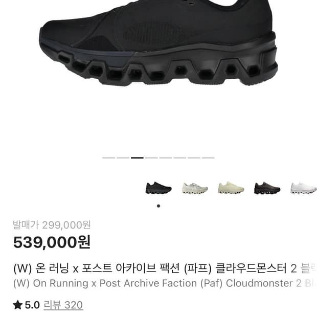 온러닝 파프 클라우드몬스터2