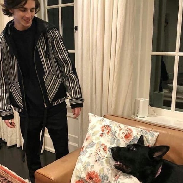 생로랑 자카드 후드 자켓