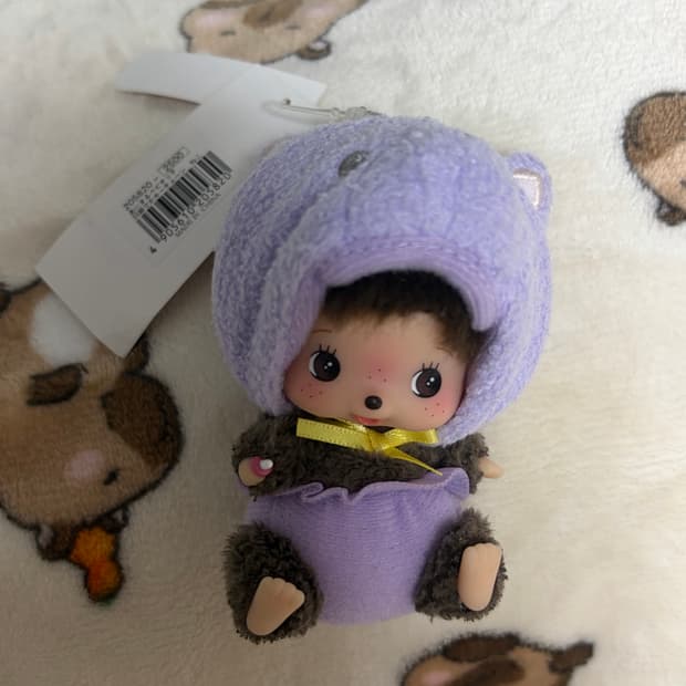 몬치치 베비치치 캣 퍼플