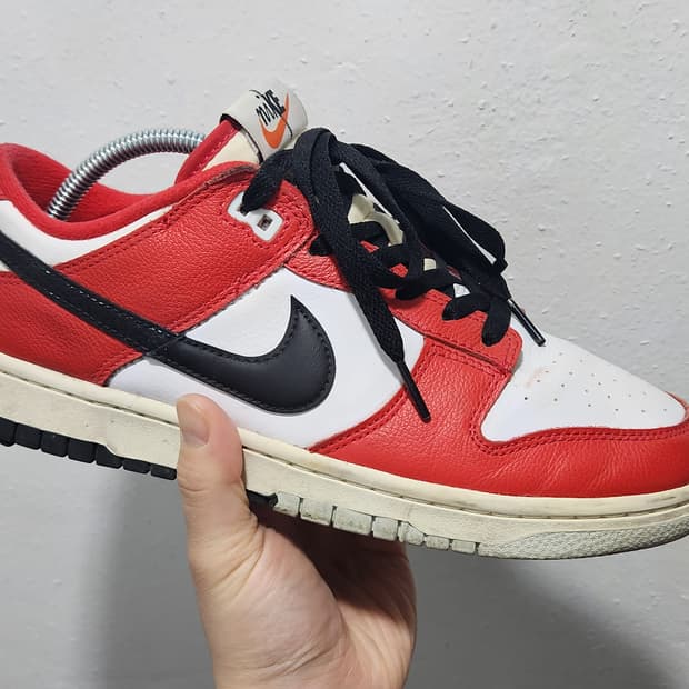 나이키 덩크 로우 점보 PRM 270