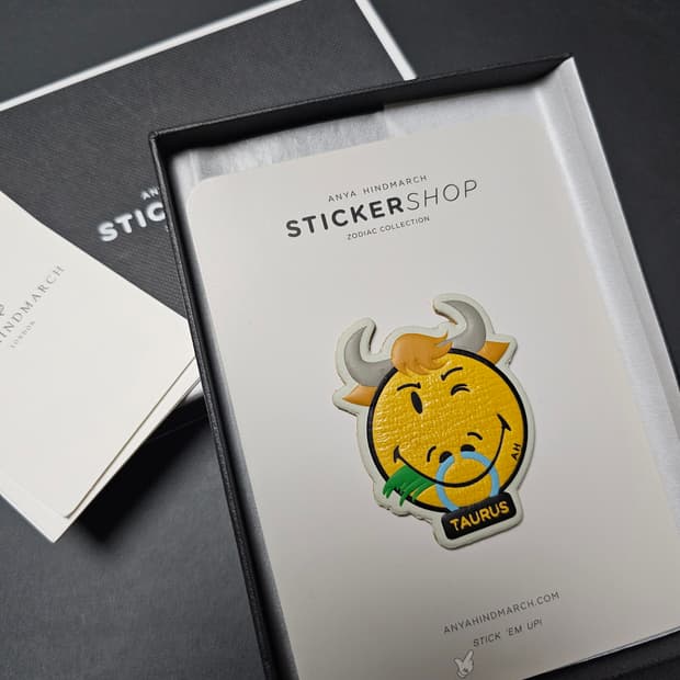 안야힌드마치 별자리 레더스티커
