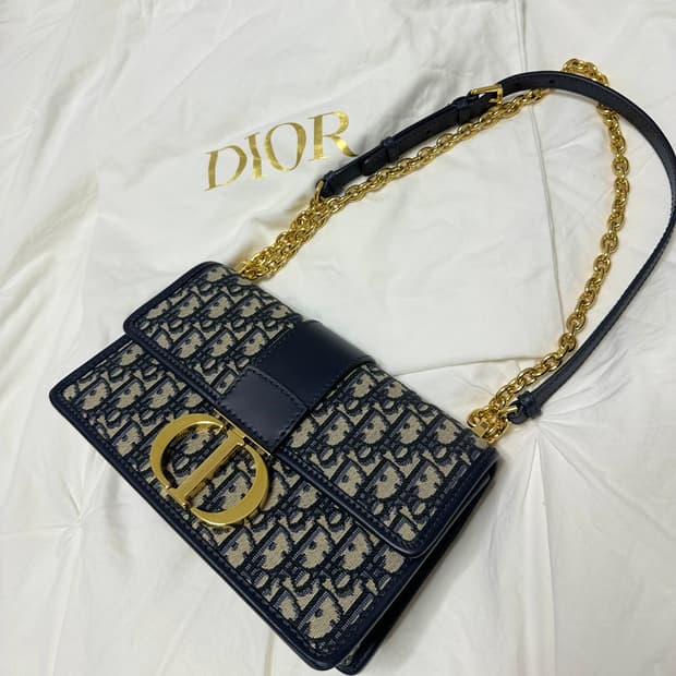 디올 몽테인 3D 체인백
