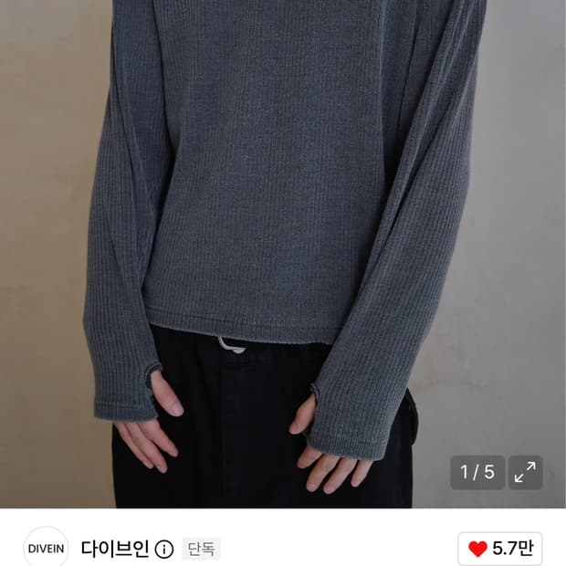다이브인 패플서 롱슬리브