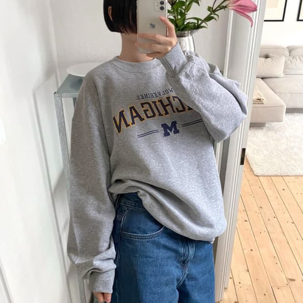 프루트 오브 더 룸 스웻셔츠 (Man XL) AB0770